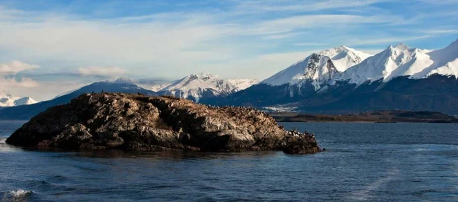 PuertoWilliams