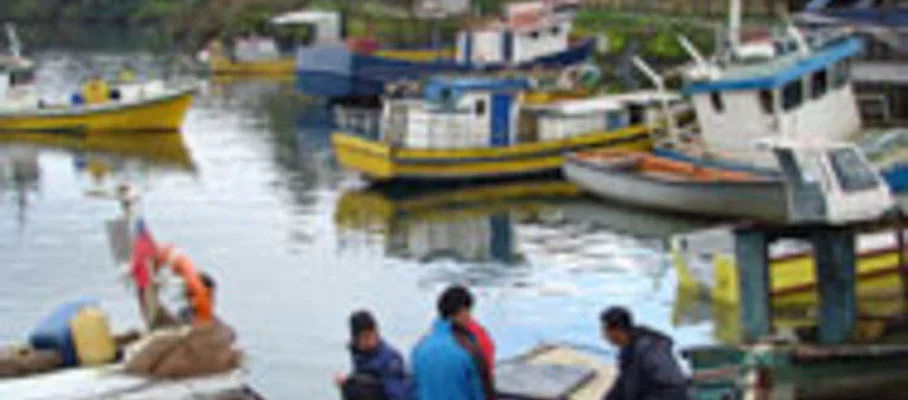 Ruta Puerto Varas - Puerto Montt-2