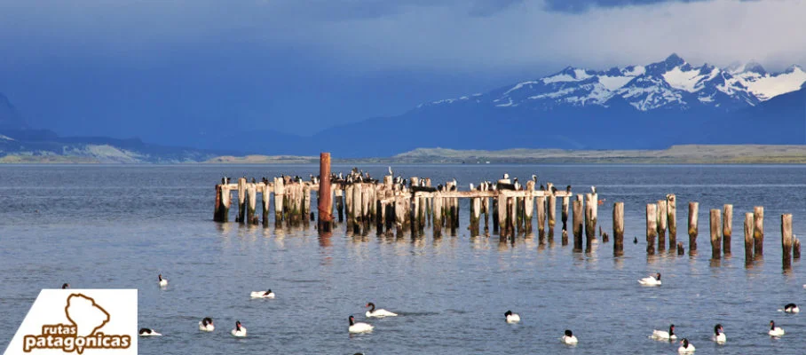 PuertoNatales2
