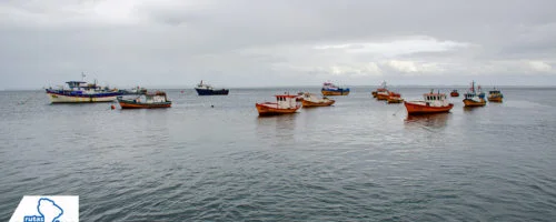 Carelmapu